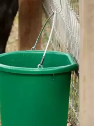 Is This Heated Livestock Water Bucket the Best Winter Farm Solution? advertisement