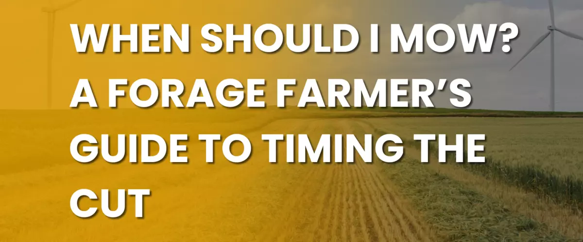 When Should I Mow? A Forage Farmer’s Guide to T...
