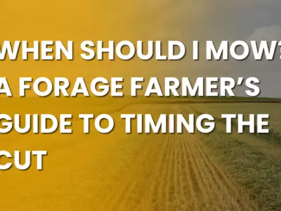 When Should I Mow? A Forage Farmer’s Guide to T...
