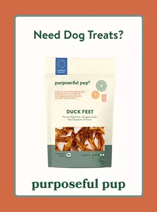 Are fly masks with ears or without ears better ...