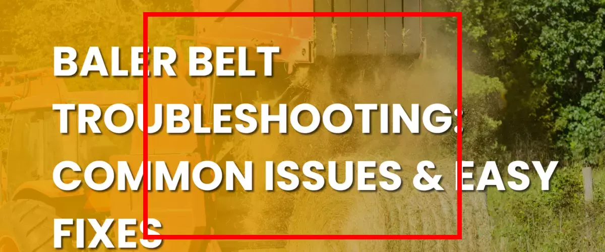 Are fly masks with ears or without ears better ...