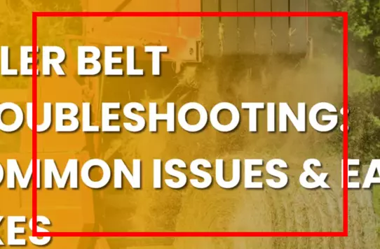 Are fly masks with ears or without ears better ...