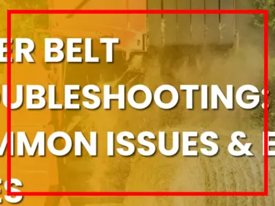 Are fly masks with ears or without ears better ...