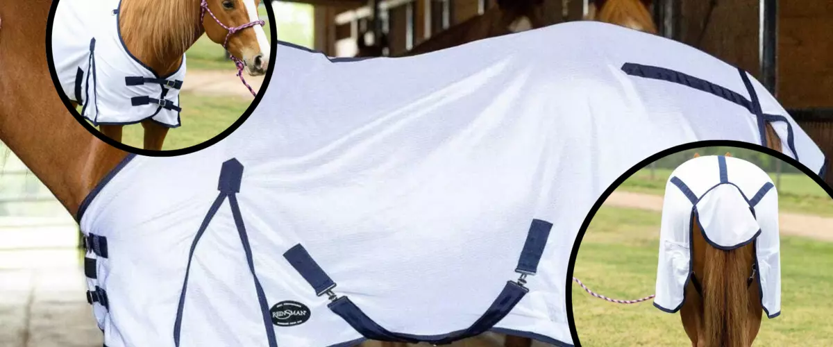 How do I clean and maintain fly masks and sheets?